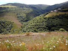 DSCN1398 DSCN1398