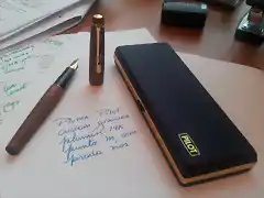 pilot custom 1