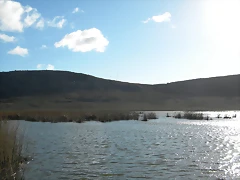 DSCN6459