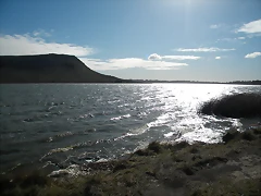 DSCN6443