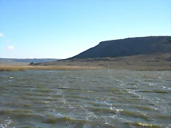 DSCN6446
