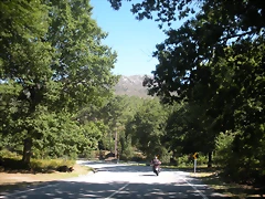 DSCN7876 DSCN7876