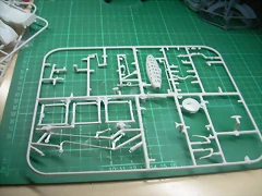 DSCN2289