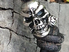 16 Calavera