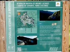 DSCN1115 DSCN1115