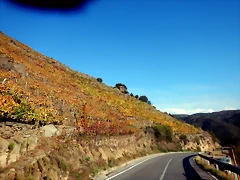 DSCN1694 DSCN1694