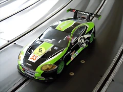 Cric_Crac_Sca_GT_Cursa_4 033 Cric_Crac_Sca_GT_Cursa_4 033