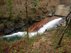 DSCN3115 DSCN3115