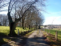 DSCN2530 DSCN2530