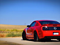 DSC_0366 DSC_0366