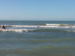 100_0068 100_0068