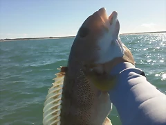 100_0073 100_0073