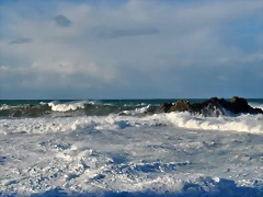 DSC_0601
