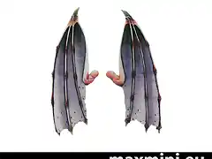 largewings