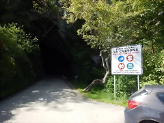 DSCN2463 DSCN2463