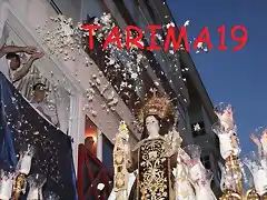 tarima19