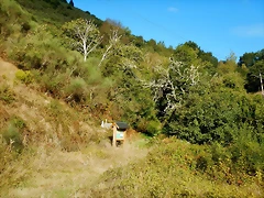 DSCN9044 DSCN9044