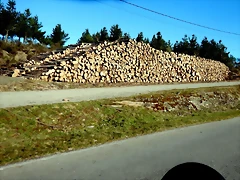 DSCN2590 DSCN2590