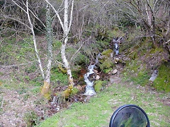 DSCN9060 DSCN9060