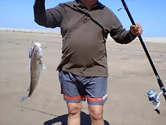 PB130813 PB130813
