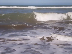 PB130837 PB130837
