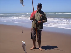PB130824 PB130824