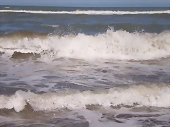 PB130836 PB130836