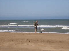 PB130833 PB130833