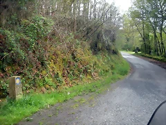 DSCN4131