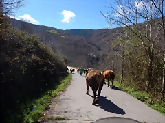 DSCN9088 DSCN9088