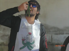 Cal?otada 244 Cal?otada 244