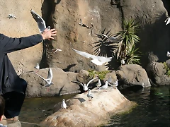 Zoo Barcelona 31-12-07 182 Zoo Barcelona 31-12-07 182