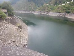 DSCN7325