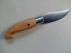SAM_2391 SAM_2391