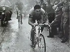 MERCKX 1967,LAVAREDO.