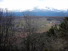 DSCN9529 DSCN9529