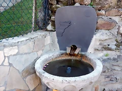 DSCN9136 DSCN9136