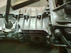 Imagen0081