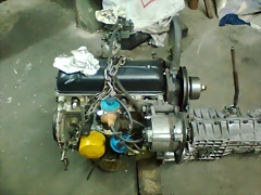 Imagen0082