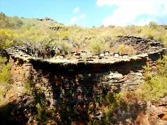 DSCN7826