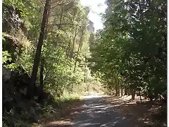 Carretera a muro embalse Buendía