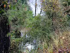 Cotoríos, últimas lluvias (Jaén)