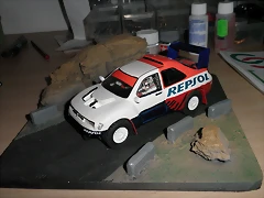 P1060058 P1060058