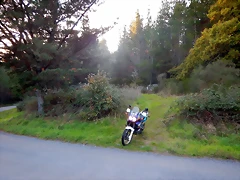 DSCN8990 DSCN8990