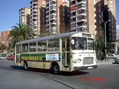 Malaga (50)