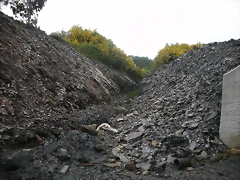 DSCN2693
