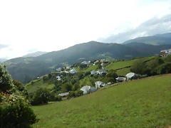 DSCN0396 DSCN0396