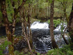 DSCN0536 DSCN0536