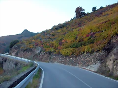 DSCN6557 DSCN6557
