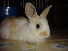 DSC06561